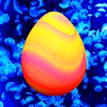 Logo of Tamago Mysterious Egg Pou 2 android Application 